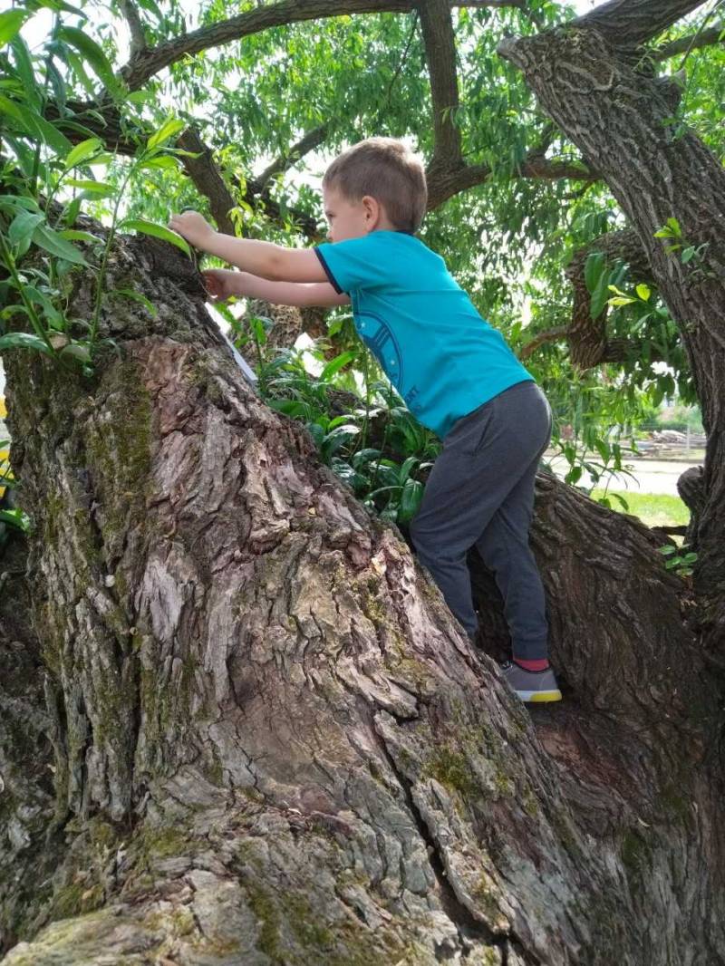 Ovis_kirándulás (10).jpg